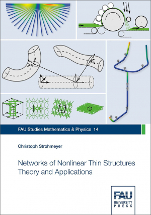 Networks of Nonlinear Thin Structures Theory and Applications