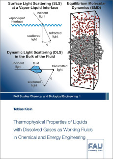 Thermophysical Properties of Liquids with Dissolved Gases as Working Fluids in Chemical and Energy Engineering