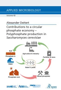 Contributions to a circular phosphate economy – Polyphosphate production in Saccharomyces cerevisiae