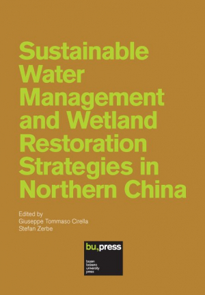 Sustainable Water Management and Wetland Restoration Strategies in Northern China